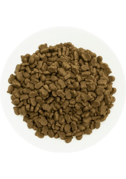 Prochoice 3 kg x 4 Adet Yetişkin Hassas Köpekler Için, Hipoalerjenik, Balıklı ve Pirinçli Kuru Mama Ynsmr fiyatları