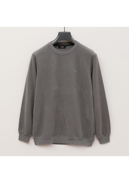Erkek Triko Uzun Kol Ince Polo Yaka Sweatshirt - DS-3001 - Gümüş