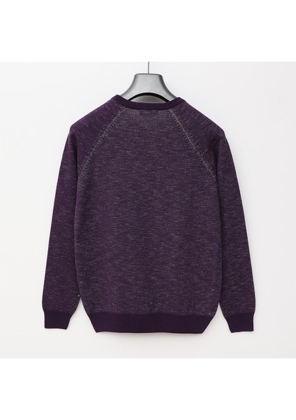 Erkek Polo Yaka Uzun Kol Ince Sweatshirt - (M-2xl) - 180780 - Mürdüm modelleri