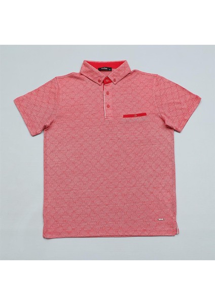 Erkek Kısa Kol Polo Yaka Tişört - DJS-276 - Lal fırsatları