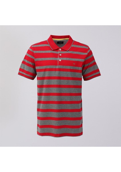 Erkek Kısa Kol Polo Yaka Tişört - CZT-151 - Füme - Kırmızı