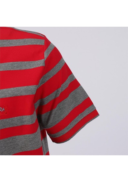 Erkek Kısa Kol Polo Yaka Tişört - CZT-151 - Füme - Kırmızı modelleri