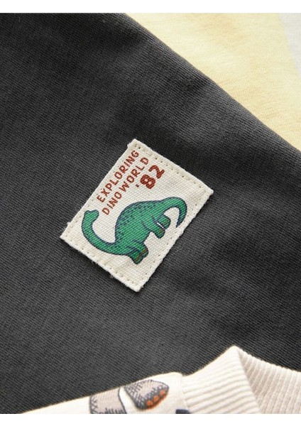 % 100 Pamuklu Sarı Dinozor Desenli Kısa Kollu 3'lü Thsirt Set