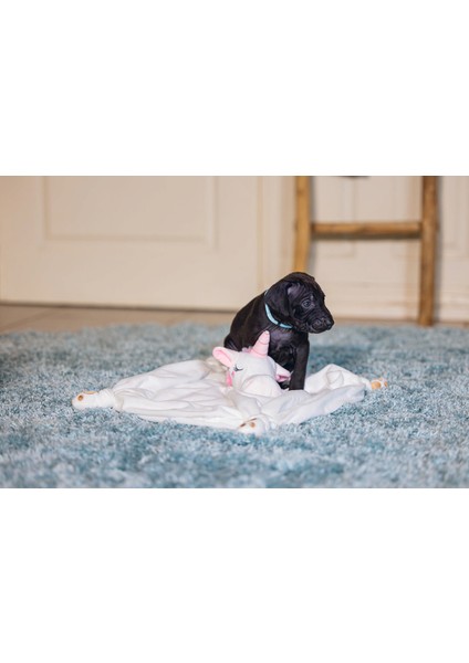 Yavru Köpek Oyuncağı, Unicorn, Peluş, Beyaz, 33x25x14cm modelleri