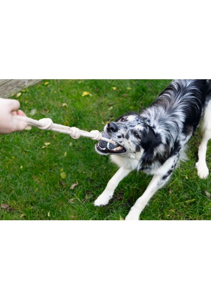 Köpek Oyuncağı, İpli Tenis Topu, Kauçuk, gri/kahverengi, İp 39cm, Top 6,3cm fiyatları