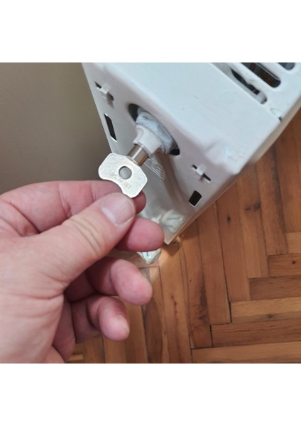 Panel Radyetör, Havlupan, Petek, Pürjör, Hava Alma Anahtarı (4 Adet) fırsatları