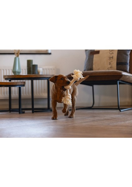 Yavru Köpek Oyuncağı, Çift Düğümlü Diş İpi, Peluş, Pembe, 30x6x4,5cm fiyatları