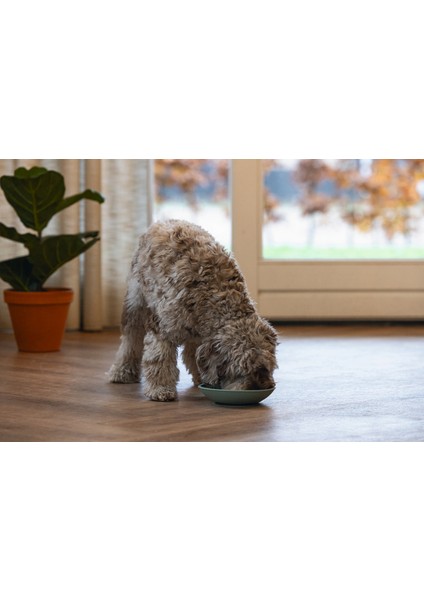 Yavru Köpek Mama Yeme Oyuncağı, Silikon, Yeşil, 19CM Ynsmr indirimleri