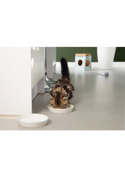 Yavru Kedi Mama Su Kabı, Seramik, Gri Sarı, 17,5cmx3,5cm Ynsmr fiyatları