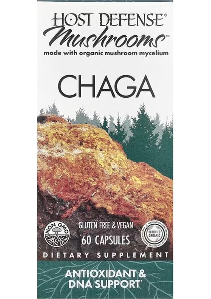 Mushrooms Chaga 60 Capsules