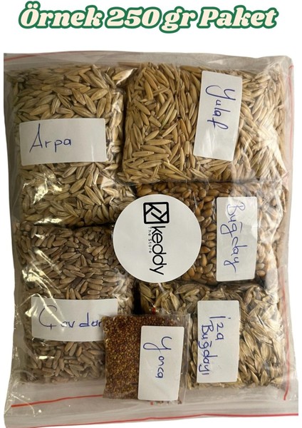 Premium 6'li Kedi Çimi Tohumu -250GR (Buğday - Çavdar - Arpa - Yulaf - Yonca - Iza Buğdayı)