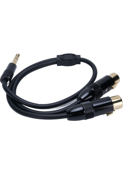 Çift Xlr Dişi 1/4 Inç 6.35MM Erkek Stereo Y Ayırıcı Kablo 1.6ft Pvc Çift Xlr 1/4 Inç Adaptör Kablosu Mikrofon Kamera Için (Yurt Dışından)