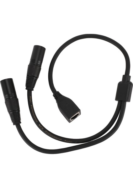 Çift Xlr 3pin Erkek - RJ45 Dişi Adaptör Kablosu Xlr - RJ45 Y Ayırıcı Kablo Dmx Con Kontrol Cihazı Serisi Için 1,6 Ft Uzunluk (Yurt Dışından)