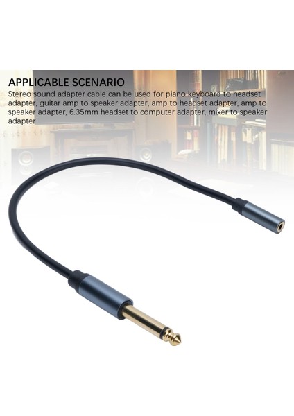 1/4 Ila 3,5 mm Kulaklık Adaptör Kablosu Mono 6,35 mm Erkek Ila 1/8 Dişi Stereo Jak Ses Kablosu (Yurt Dışından) modelleri