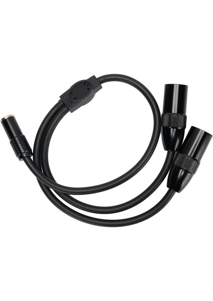 Çift Xlr'den 6.35MM Ayırıcı Kablo 1.6ft Doğru Sinyal Çıkışı 6.35MM Dişi'den Xlr'ye Erkek Stereo Adaptör Kablosu Kamera Kaydedici Mikser Için (Yurt Dışından)