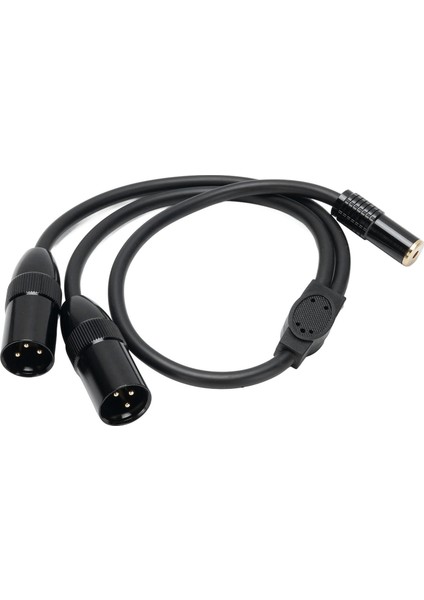 Çift Xlr'den 6.35MM Ayırıcı Kablo 1.6ft Doğru Sinyal Çıkışı 6.35MM Dişi'den Xlr'ye Erkek Stereo Adaptör Kablosu Kamera Kaydedici Mikser Için (Yurt Dışından)