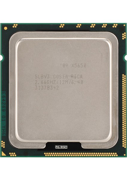 Intel Xeon X5650 Six Core Twelve Threads 2.66GHZ 12M Önbellek LGA1366 Cpu Resmi Sürümü (Yurt Dışından)