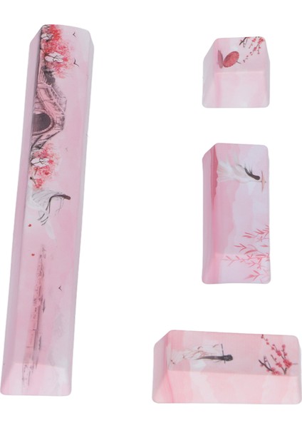 4 Adet Tuş Takımı Space Esc Enter Numpad Enter Yüksek Dayanıklılık Aşınmaya Dayanıklı Parlak Renkler Mekanik Klavye Tuş Takımları (Yurt Dışından) fırsatları