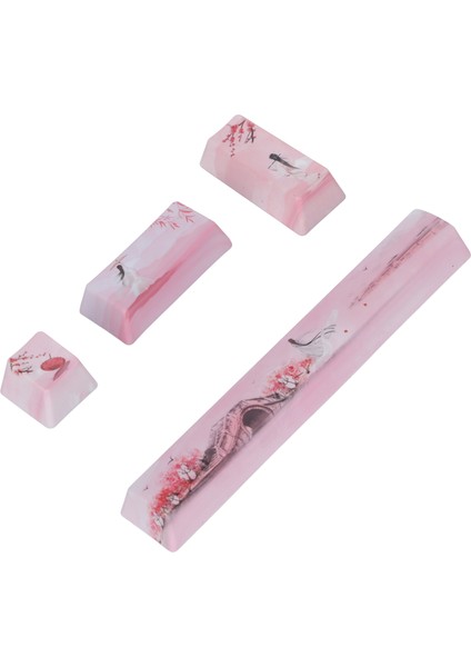 4 Adet Tuş Takımı Space Esc Enter Numpad Enter Yüksek Dayanıklılık Aşınmaya Dayanıklı Parlak Renkler Mekanik Klavye Tuş Takımları (Yurt Dışından) indirimleri