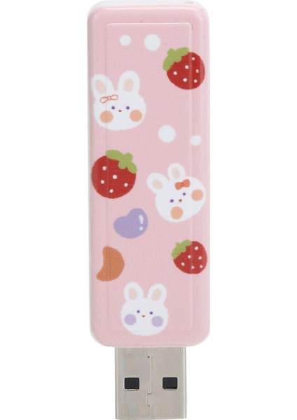 U Disk Pushpull Usb2.0 Bellek Araba Flash Sürücü Bilgisayar Aksesuarları Çilek Tavşan Deseni (128 Gb) (Yurt Dışından)