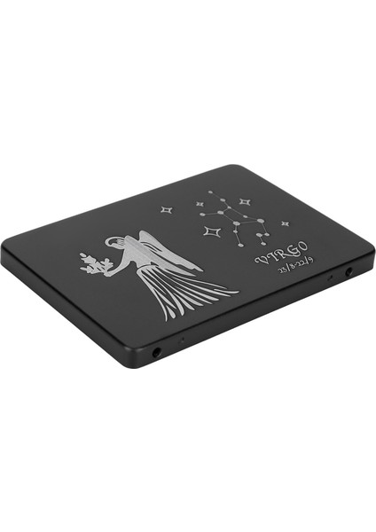 Hsthe Sea SSD Otomatik Tanıma Akıllı Hata Düzeltme Metal 2,5 Inç Sabit Disk Veri Depolamak İÇIN16 GB (Yurt Dışından) modelleri