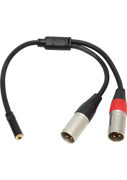 3,5 mm 1/8 Ila Xlr Mikrofon Kablosu Profesyonel Dengeli Çift Xlr Erkek Ila 3,5 mm Dişi Stereo Kablo 1,0 Ft (Yurt Dışından)