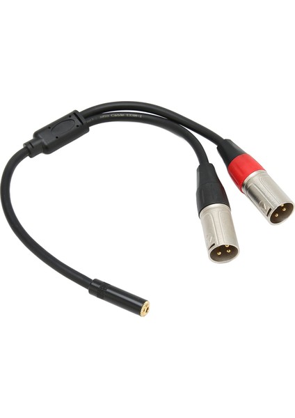 3,5 mm 1/8 Ila Xlr Mikrofon Kablosu Profesyonel Dengeli Çift Xlr Erkek Ila 3,5 mm Dişi Stereo Kablo 1,0 Ft (Yurt Dışından)