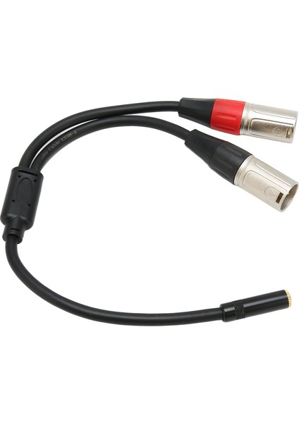 3,5 mm 1/8 Ila Xlr Mikrofon Kablosu Profesyonel Dengeli Çift Xlr Erkek Ila 3,5 mm Dişi Stereo Kablo 1,0 Ft (Yurt Dışından)