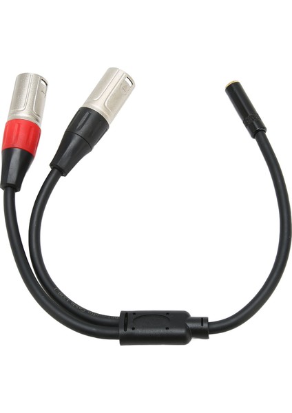 3,5 mm 1/8 Ila Xlr Mikrofon Kablosu Profesyonel Dengeli Çift Xlr Erkek Ila 3,5 mm Dişi Stereo Kablo 1,0 Ft (Yurt Dışından)