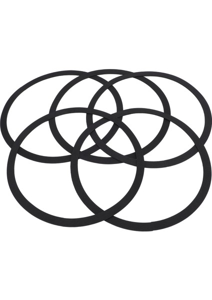 5 Adet Hoparlör Sızdırmazlık Halkası Titreşim Önleyici Eva Hoparlör Sızdırmazlık Contası Kayma Önleyici Gürültü Azaltma Hava Kaçağı Önleyici Onarım Parçaları 245MM (Yurt Dışından) fırsatları