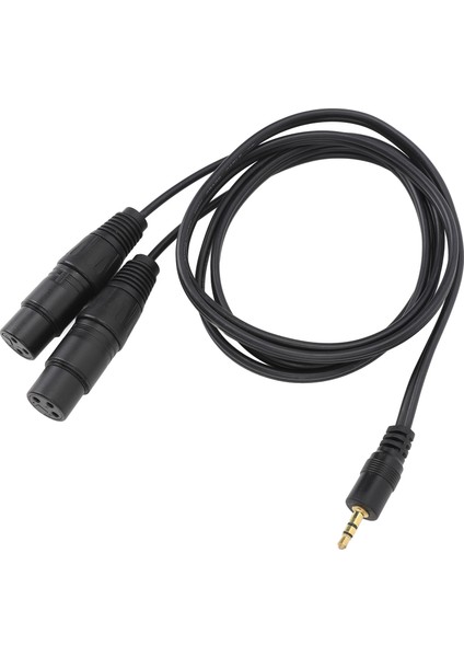 3,5 Mm'den Çift Xlr Kablosuna 22AWG Ofc Hi-Fi Ses Kalitesi 3,5 mm Erkekten 2 Xlr Dişi Mikrofon Kablosuna Performans Için (Yurt Dışından) fiyatları