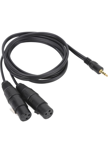 3,5 Mm'den Çift Xlr Kablosuna 22AWG Ofc Hi-Fi Ses Kalitesi 3,5 mm Erkekten 2 Xlr Dişi Mikrofon Kablosuna Performans Için (Yurt Dışından) fırsatları