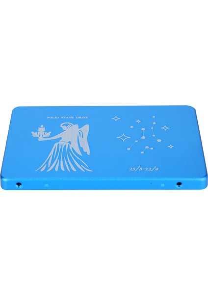 Hsthe Sea Mobile Katı Hal Diski Taşınabilir 2.5 Inç Başak Mavi Metal Harici SSD Pc Bilgisayar Için 8gb (Yurt Dışından) fiyatları
