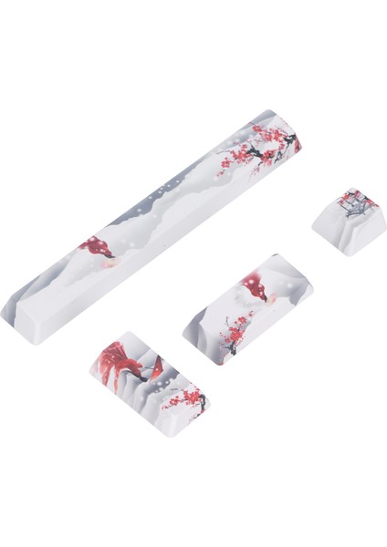 Tuş Takımı 4 Tuş Buzla Kaplı Dağ Kar Kız Desen Uzay Esc Enter Numpad Enter Dıy Tuş Takımları (Yurt Dışından) indirimleri