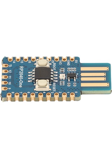 Mikrodenetleyici RP2040 Bir USB A Erkek Port Çift Çekirdekli 4mb Flash Pcb Pico Genişletme Kartı Raspberry Pi Için (Yurt Dışından)