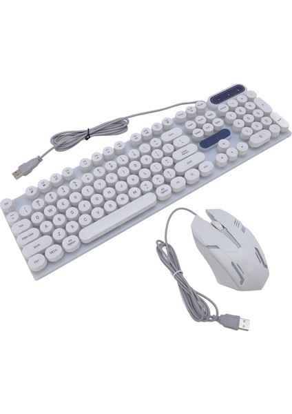 USB Daktilo Klavye ve Fare Kombosu Arkadan Aydınlatmalı 1600DPI Retro Punk Yuvarlak Tuş Başlıkları Kablolu Bilgisayar Klavye Fare Oyun Çalışma D500 Beyaz Punk Seti (Yurt Dışından) fiyatları