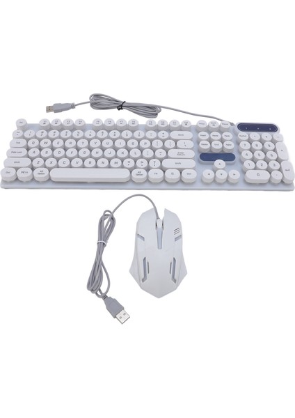 USB Daktilo Klavye ve Fare Kombosu Arkadan Aydınlatmalı 1600DPI Retro Punk Yuvarlak Tuş Başlıkları Kablolu Bilgisayar Klavye Fare Oyun Çalışma D500 Beyaz Punk Seti (Yurt Dışından) modelleri