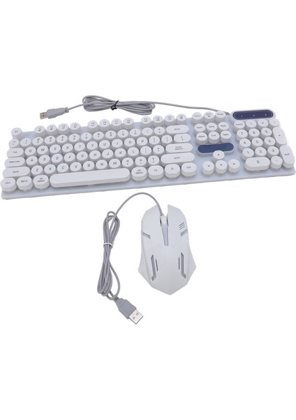 USB Daktilo Klavye ve Fare Kombosu Arkadan Aydınlatmalı 1600DPI Retro Punk Yuvarlak Tuş Başlıkları Kablolu Bilgisayar Klavye Fare Oyun Çalışma D500 Beyaz Punk Seti (Yurt Dışından) fırsatları