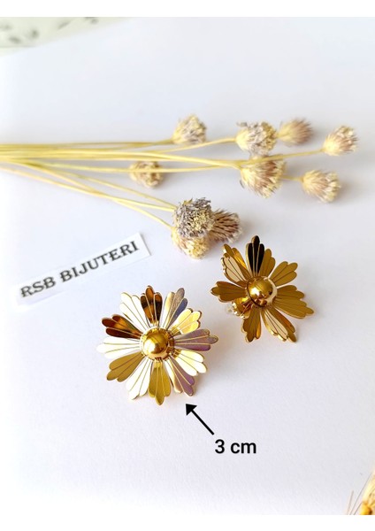 Küpe 316 L Çelik Altın Kaplama + Hediye Paket