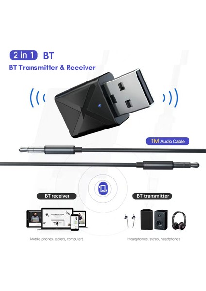USB Bt5.0 Adaptör Verici ve Alıcı 2'si 1 Arada Aux Giriş Desteği Tv Hoparlör Kulaklık Mini Araba Müzik Dizüstü Bilgisayar Pc Bilgisayar (Yurt Dışından) indirimleri