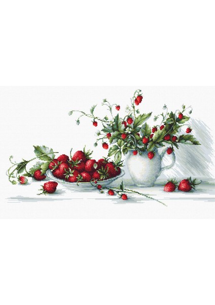 Kanaviçe Etamin Kiti (Iplik, Iğne, Kumaş) 40,5*22,5 cm B2277