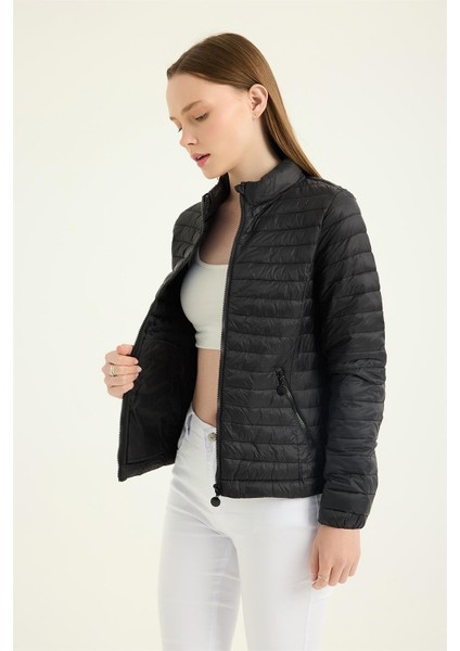Puffer Dik Yaka Mont fiyatları