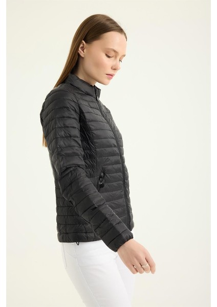 Puffer Dik Yaka Mont modelleri