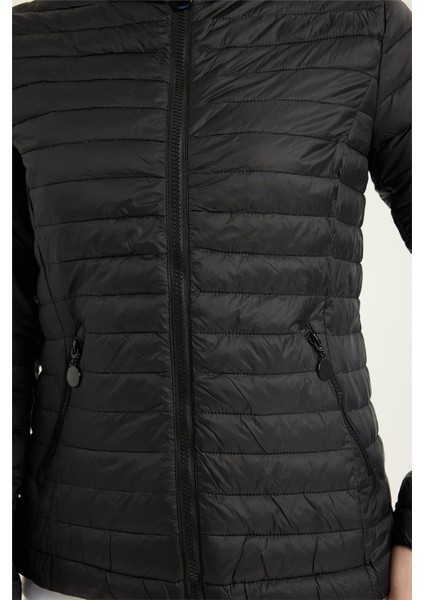 Puffer Dik Yaka Mont fırsatları