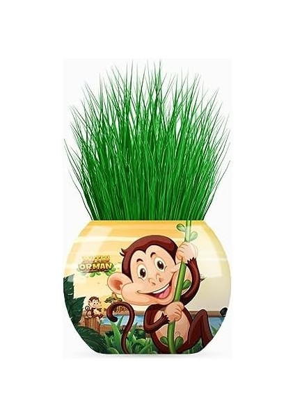 Orman Temalı Xl Çim Adam 6'lı Set - Çocuklar Için Eğitici ve Eğlenceli Bitki Yetiştirme Kiti