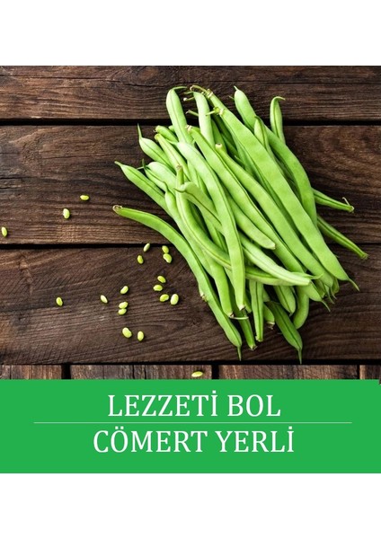 Yerli Sırık Ayşe Fasulye Tohumu Doğal Yerli Tohum Pakette fiyatları