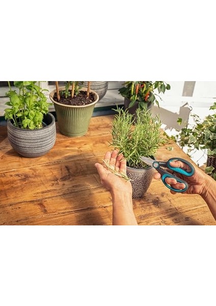 Herbcut: Odun Otları Kesmek Için Paslanmaz Çelikten Ot Makası, 52 mm Bıçak, Geri Dönüştürülmüş Plastik Saplar, Örneğin Biberiye Için Soyma Fonksiyonlu, (12214-20)