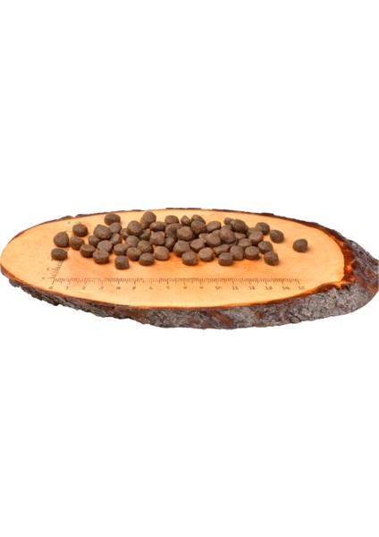 Ördekli ve Hindili Tahılsız Iri Irk Kedi Kuru Maması ( Kemik ve Kas Gelişimi Destekleyici ) 2 kg modelleri