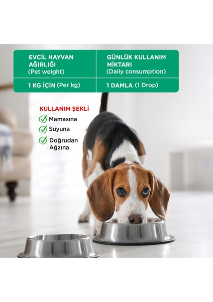 Köpekler için Premium Multi Vitamin Damla, Doğal ve Organik Içerikli Köpek vitamini, 50 ML
