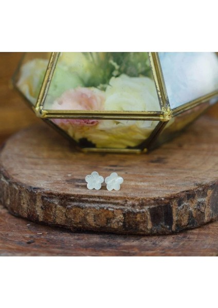 Gumamela Mother Of Pearl Earrings El Yapımı Küpe fiyatları